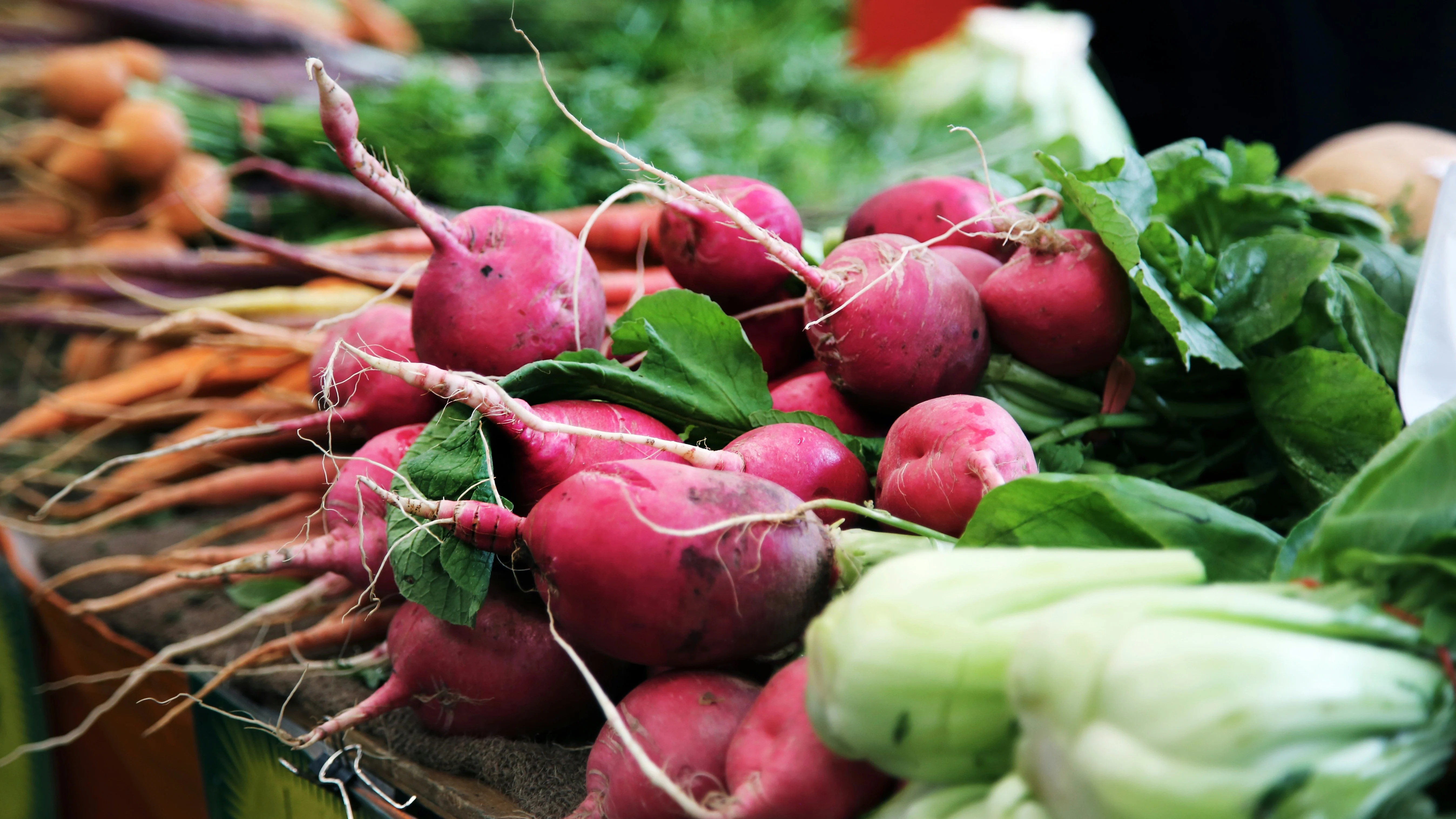 Georgian Markets: A Journey Through Local Life and Commerce